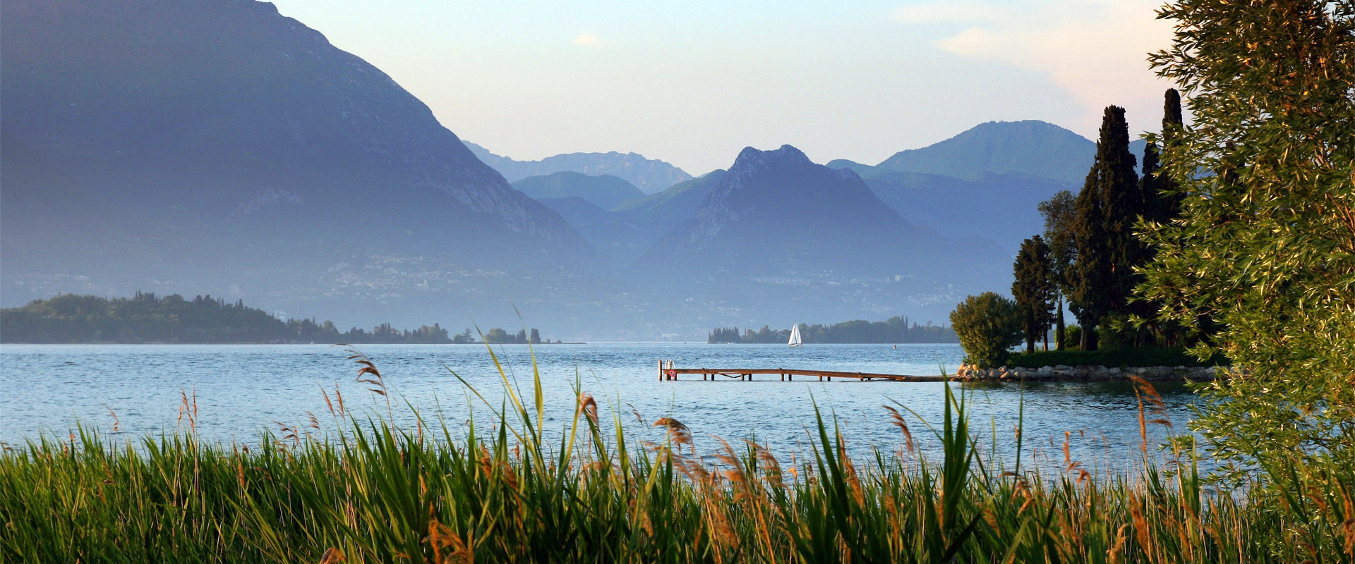 在线免费轰炸电话网页版