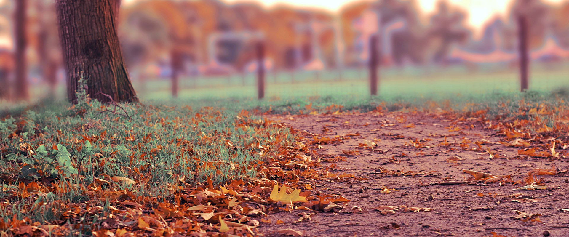 账号验证码的手机号测压2025