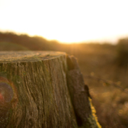免费测试呼死你