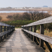 在线呼叫网页版软件