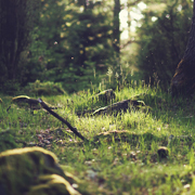 打爆别人电话的软件