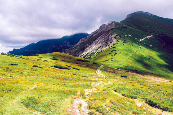 短信验证码轰炸卡盟免费